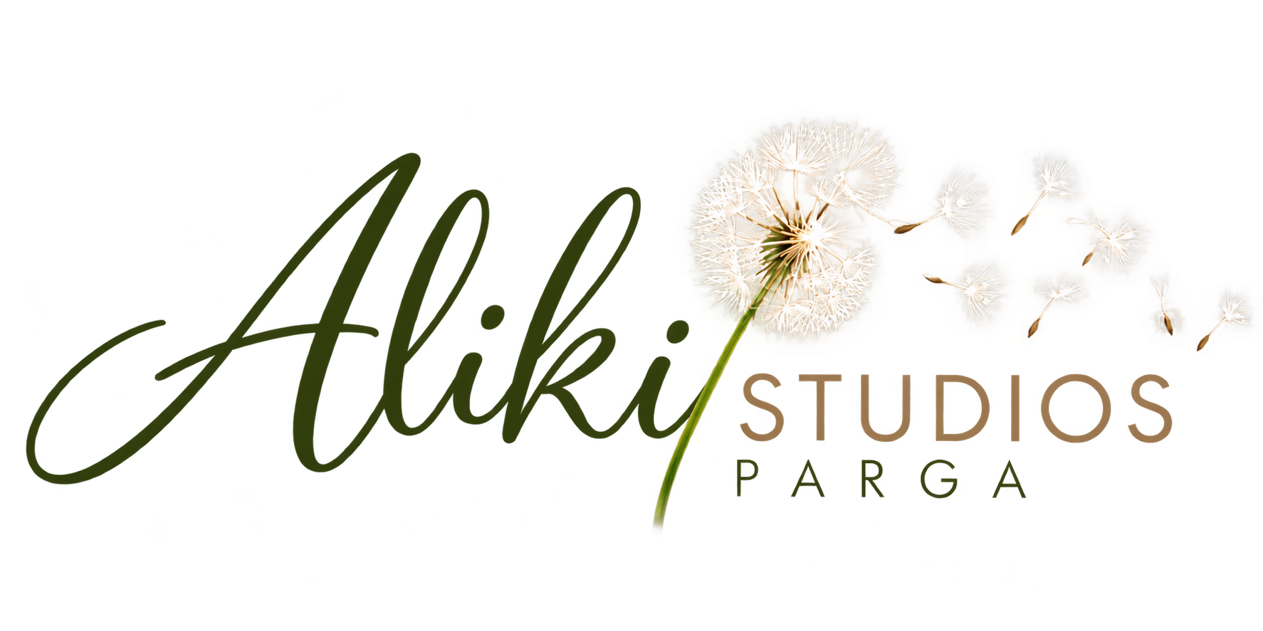 Aliki Studios Parga
